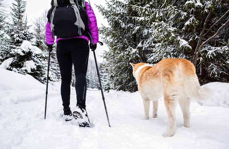 Winterwanderung zur Moserhütte