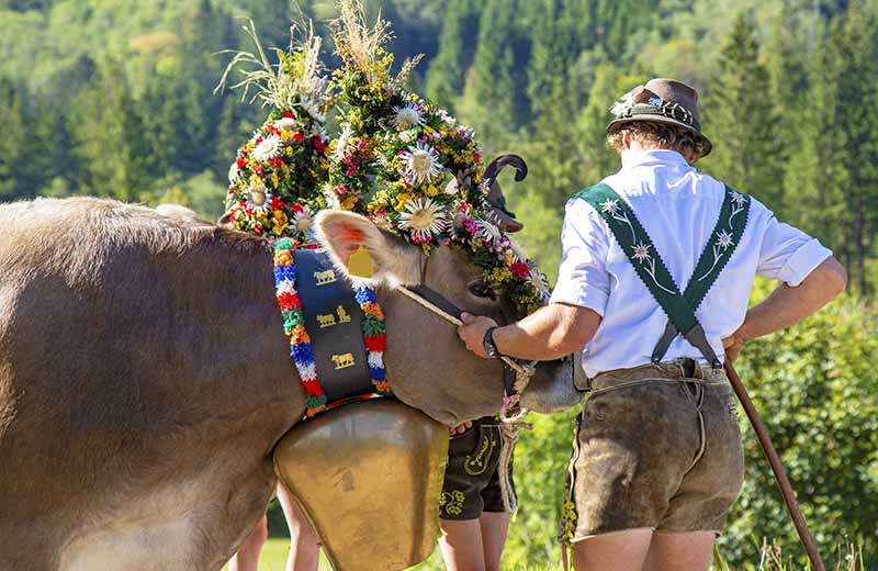 Almabtrieb in Spinges