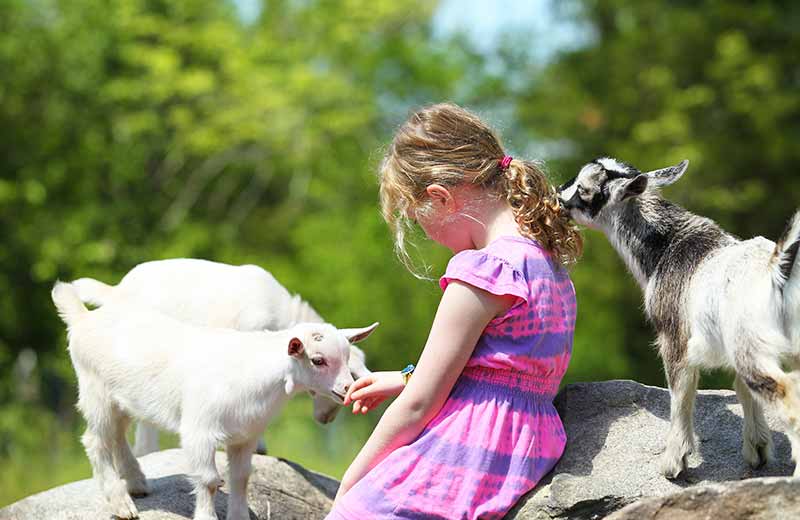 Urlaub auf dem Bauernhof