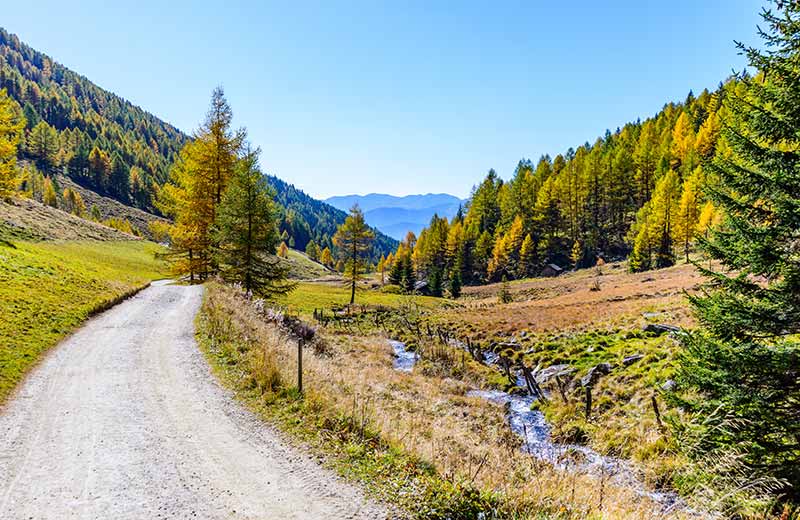Gitschberg - Altfasstal